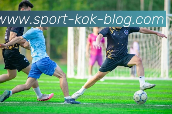 KOK体育平台生态图