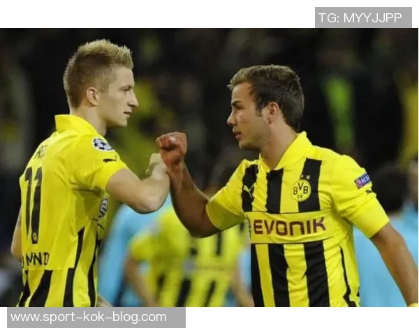 德天空报道多特34岁老将格罗斯续约前景不明未来充满变数